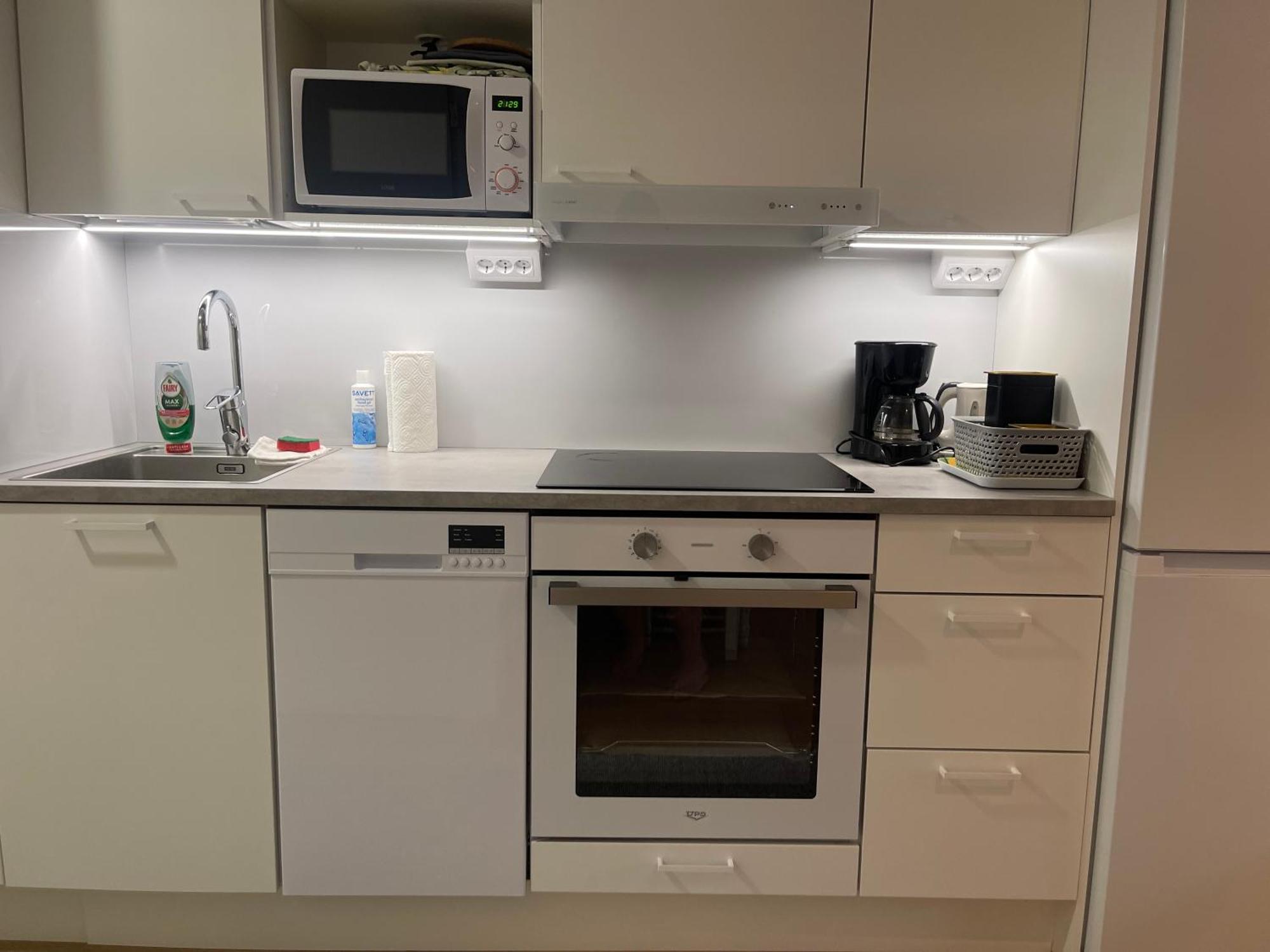 Haalia Homes Linkkitornin Valo 투르쿠 외부 사진